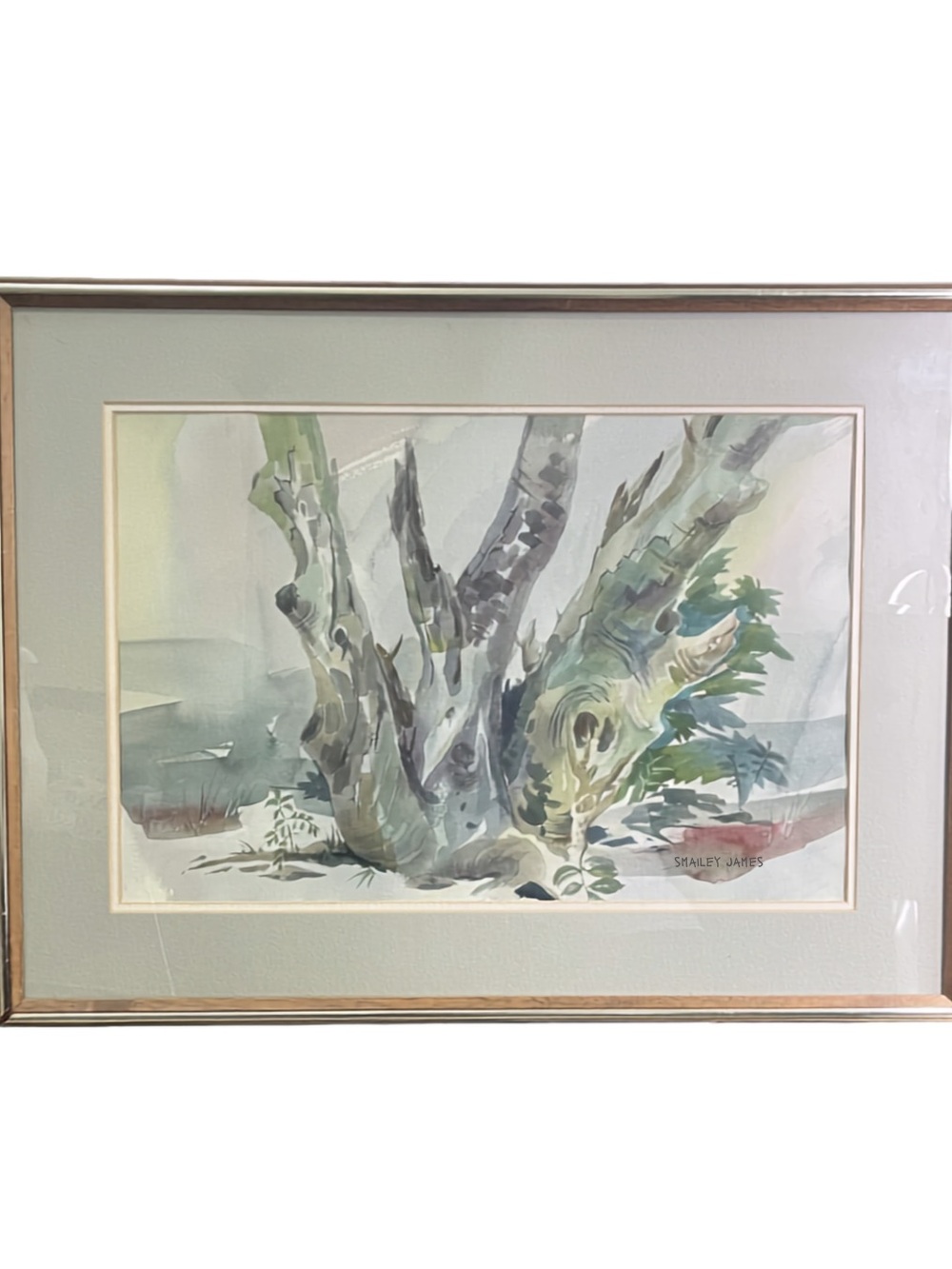 Framed Watercolor Tree Trunk Art - Stanley Rames